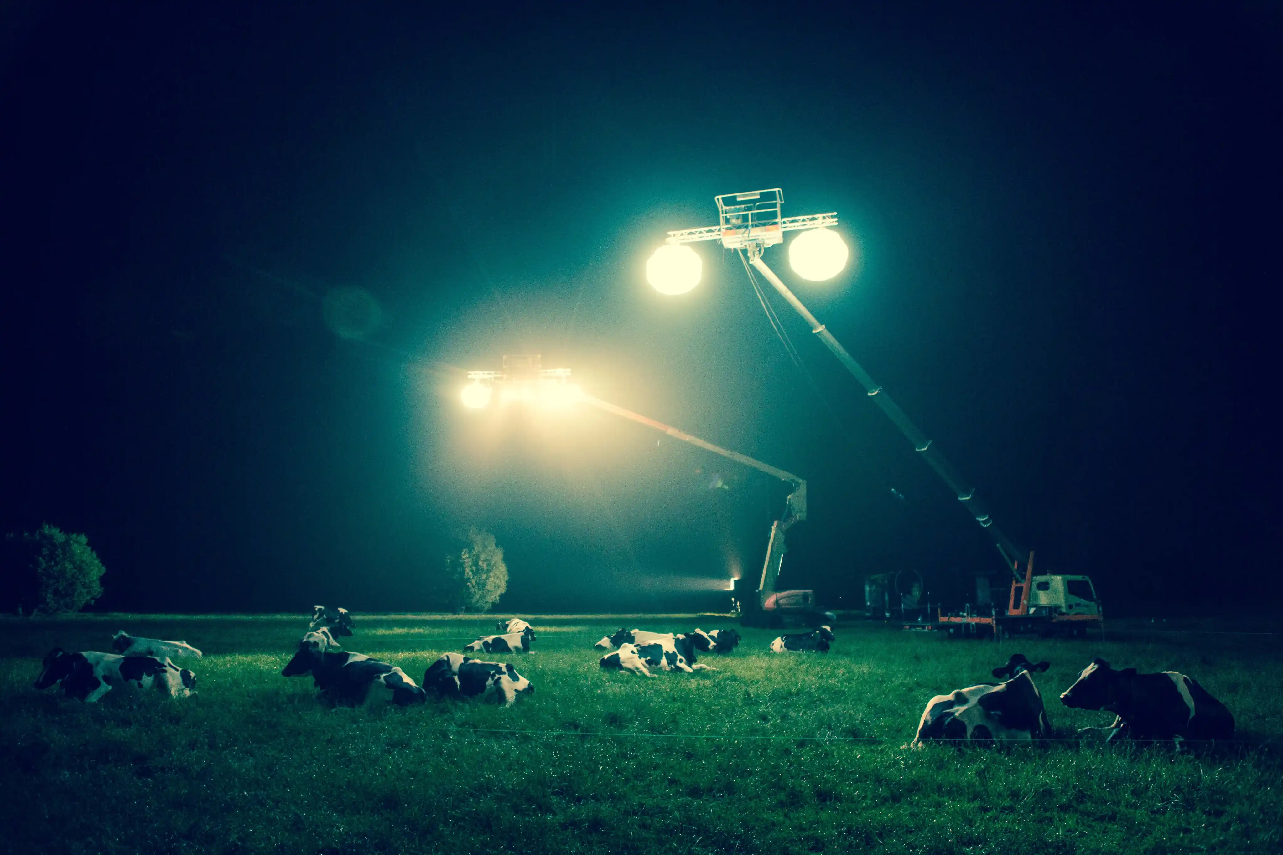 Execution & Emotional Impact media